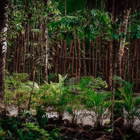 Lunita Jungle Experience Hotel Puerto Morelos Eksteriør billede