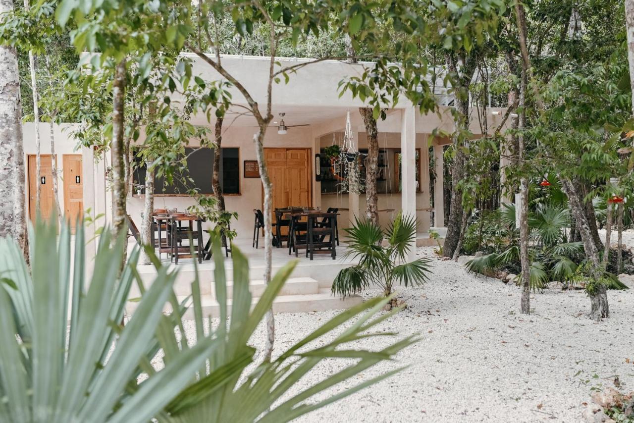 Lunita Jungle Experience Hotel Puerto Morelos Eksteriør billede