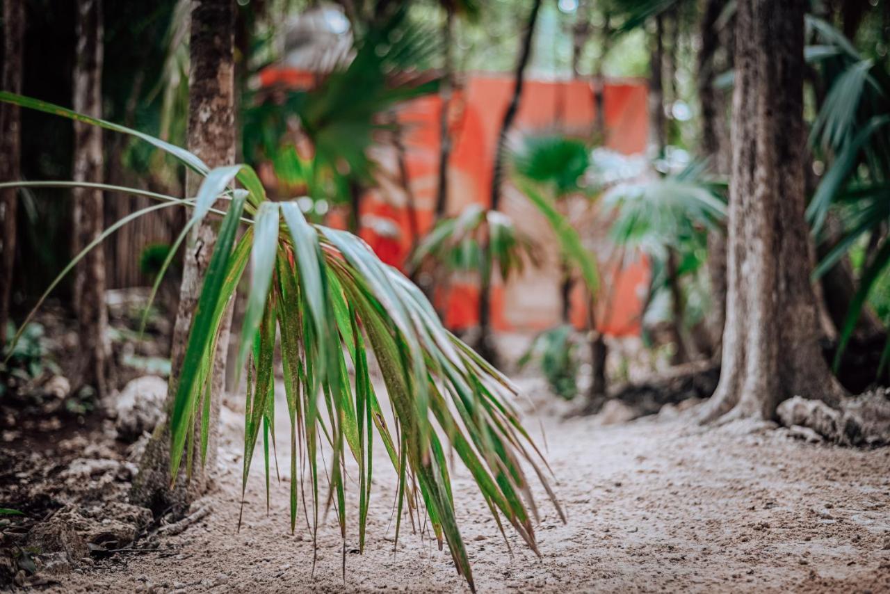 Lunita Jungle Experience Hotel Puerto Morelos Eksteriør billede