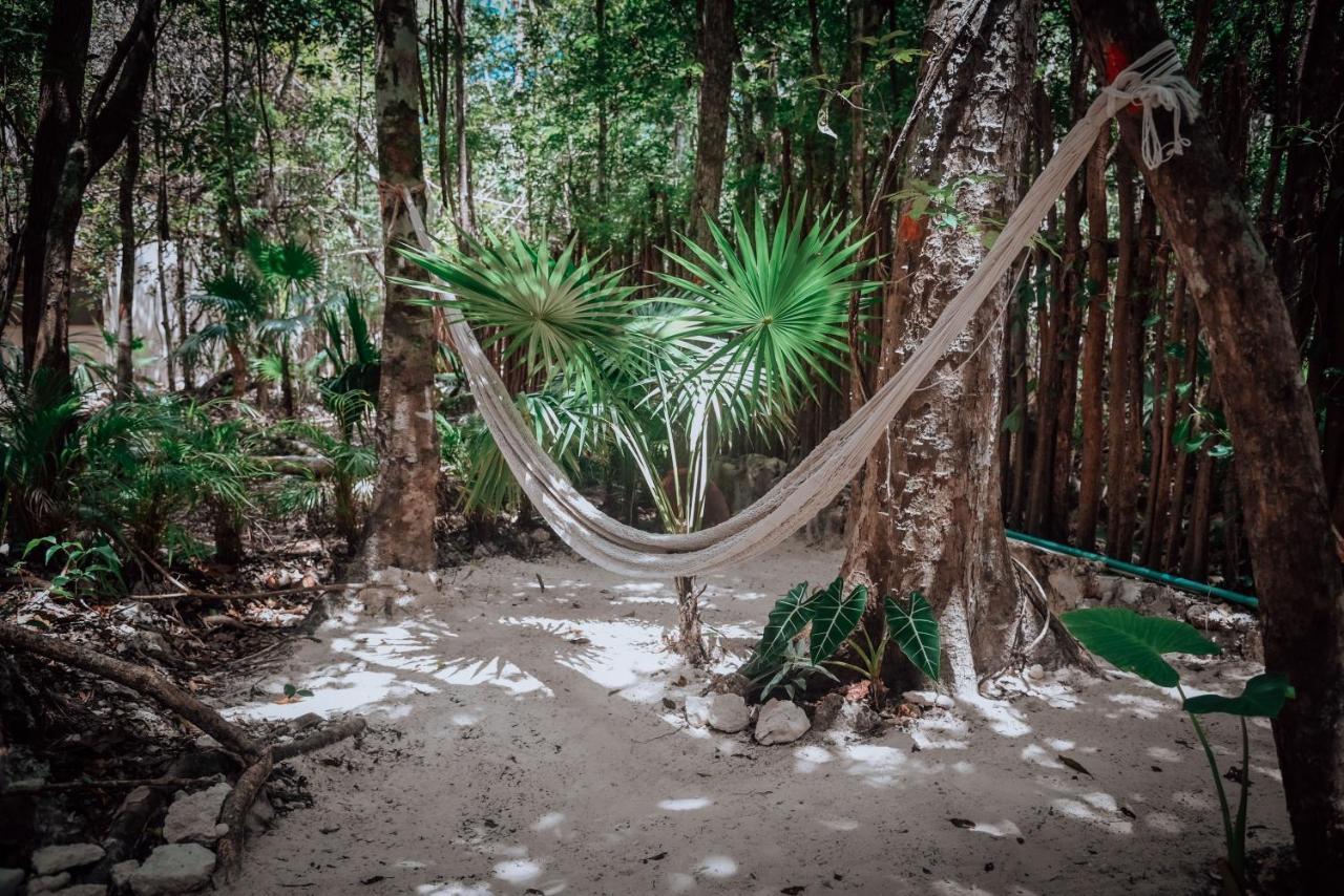 Lunita Jungle Experience Hotel Puerto Morelos Eksteriør billede