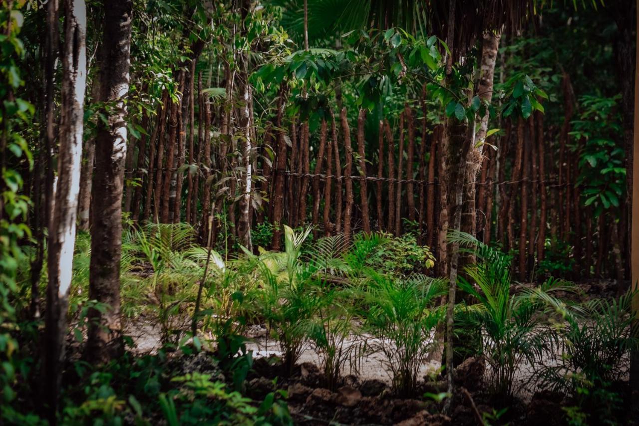 Lunita Jungle Experience Hotel Puerto Morelos Eksteriør billede