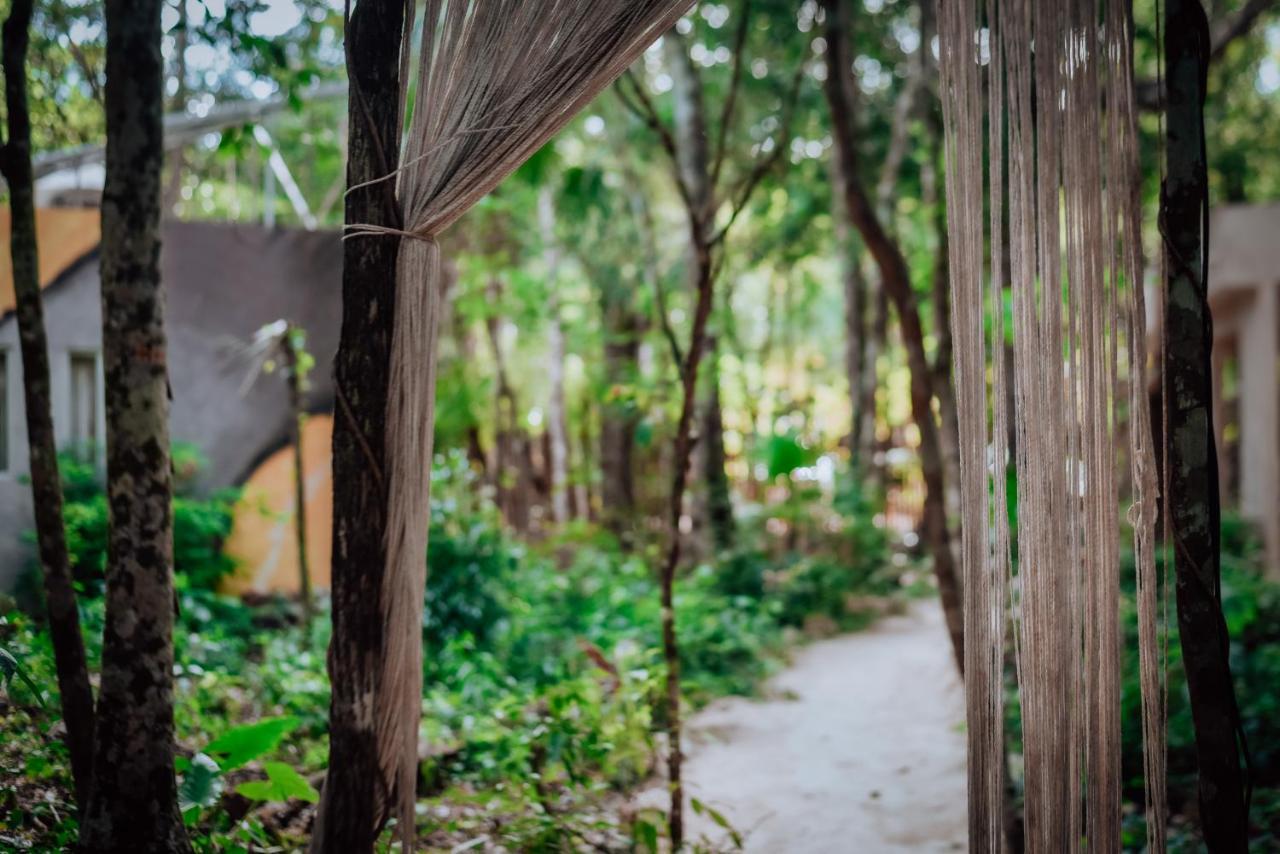 Lunita Jungle Experience Hotel Puerto Morelos Eksteriør billede