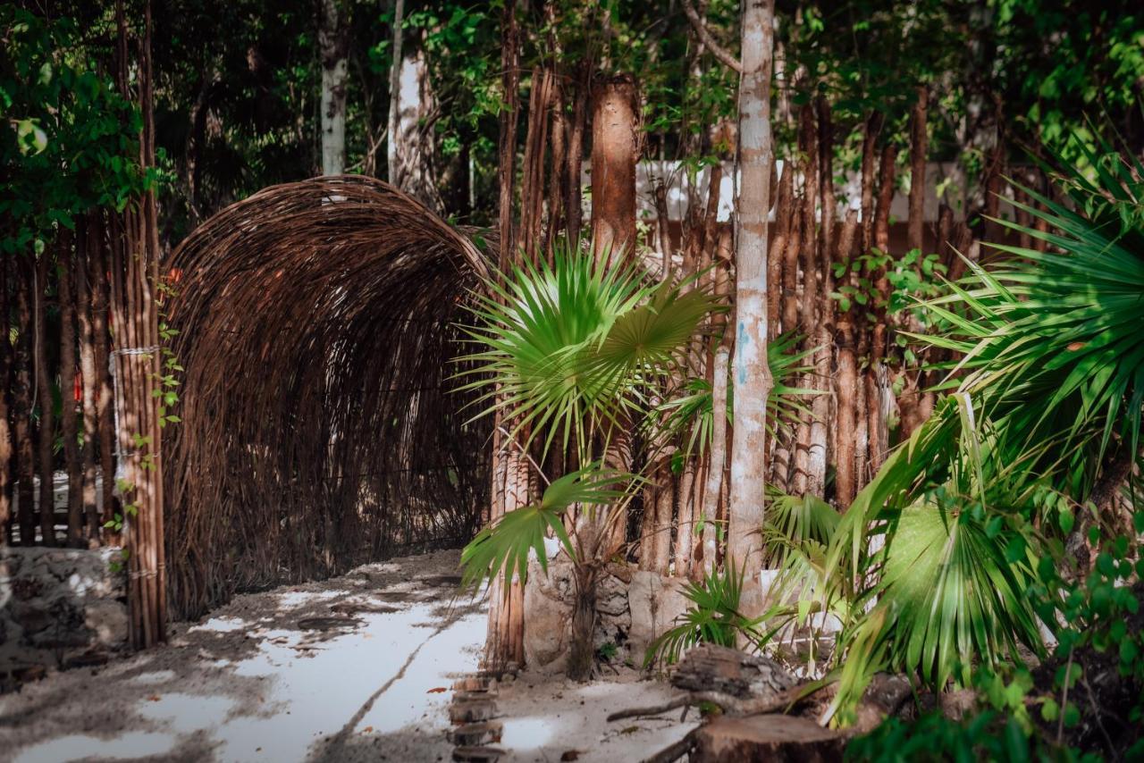 Lunita Jungle Experience Hotel Puerto Morelos Eksteriør billede