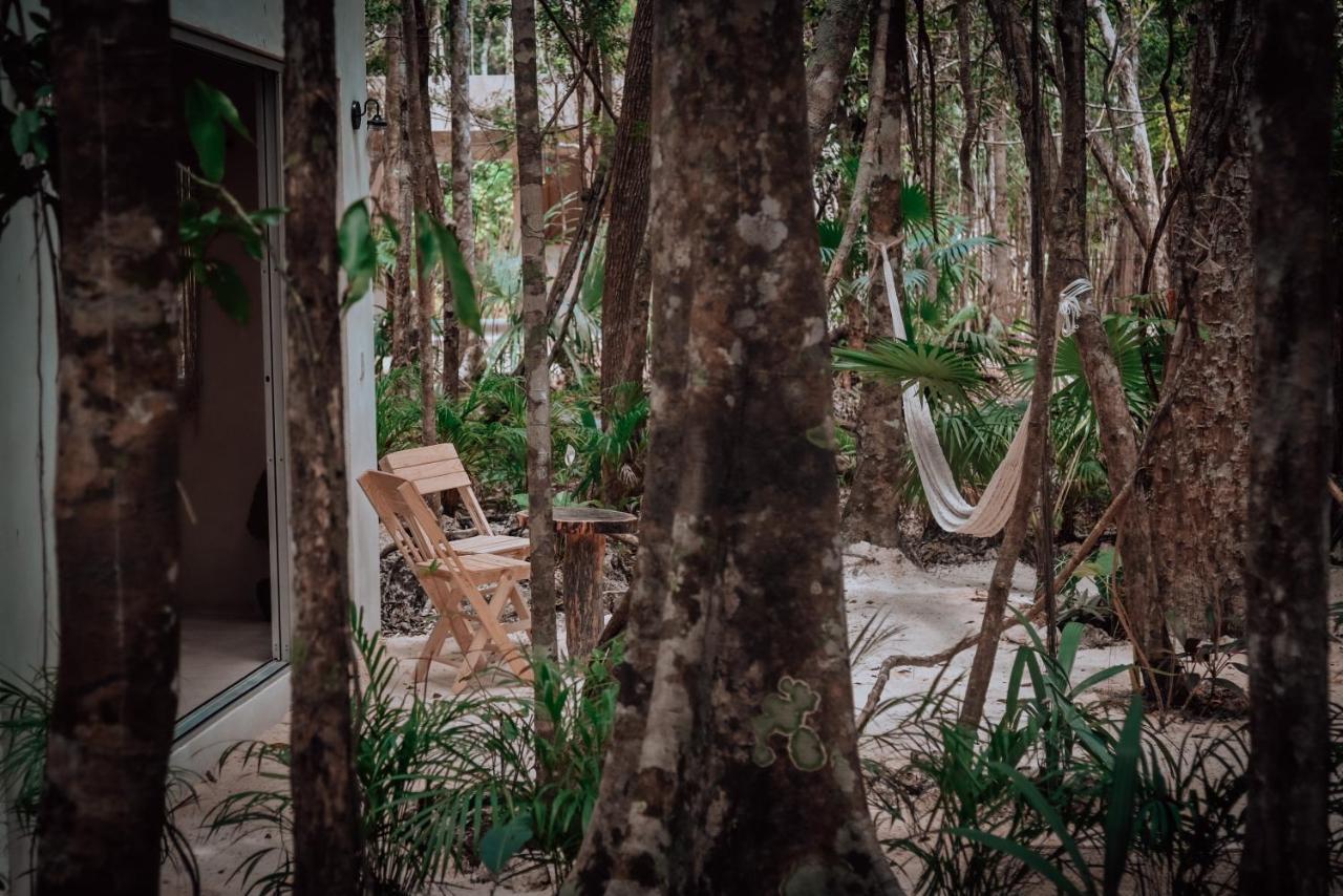 Lunita Jungle Experience Hotel Puerto Morelos Eksteriør billede
